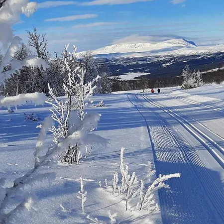 Hotel Fagerli Leirskole Og Aktivitetssenter Hol (Buskerud)