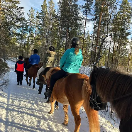 Fagerli Leirskole Og Aktivitetssenter * Hol (Buskerud)