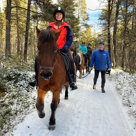 Fagerli Leirskole Og Aktivitetssenter Hotel Hol (Buskerud)